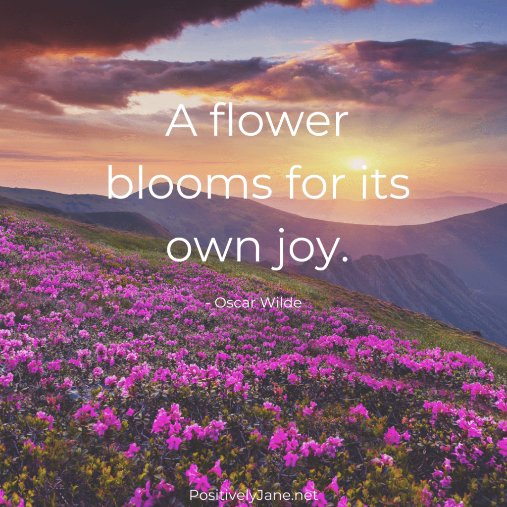 Joy Quotes | 10 Inspiration Quotes About Joy - Positively Jane