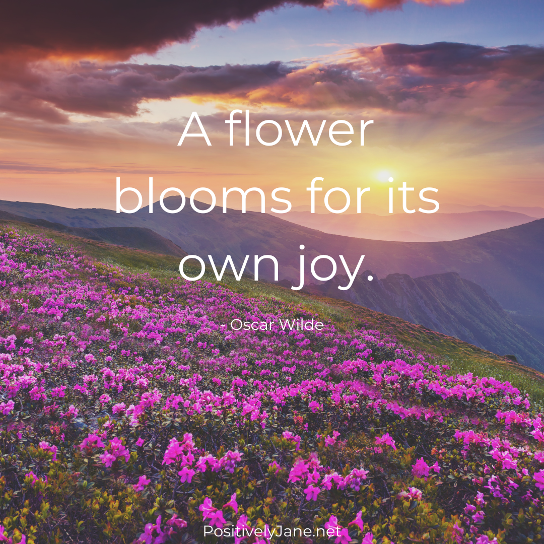 inspirational quotes about joy